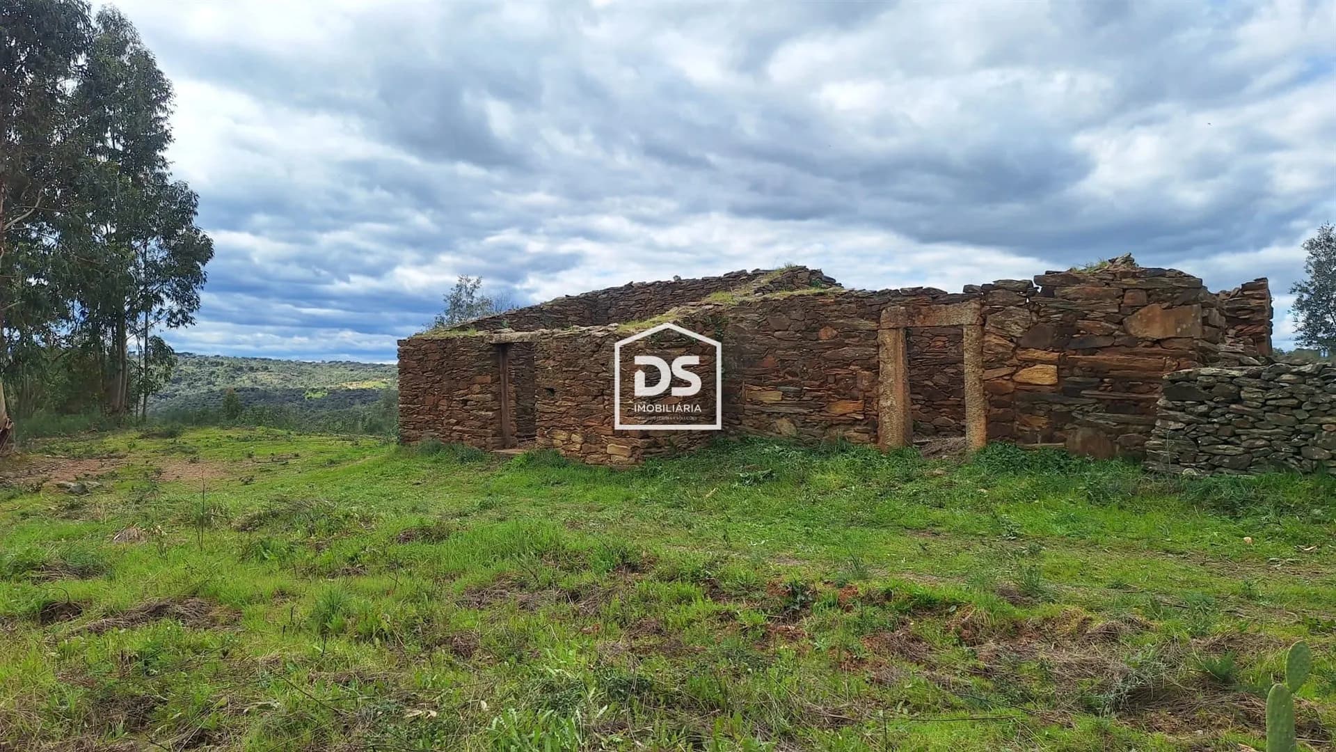 3.5 Hectare Quinta with Stone Ruin in Escalos de Baixo (DSIM60)
